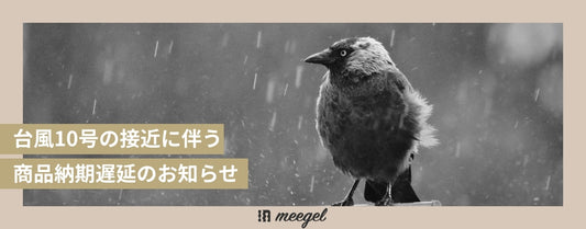 台風10号の接近に伴う商品納期遅延のお知らせ