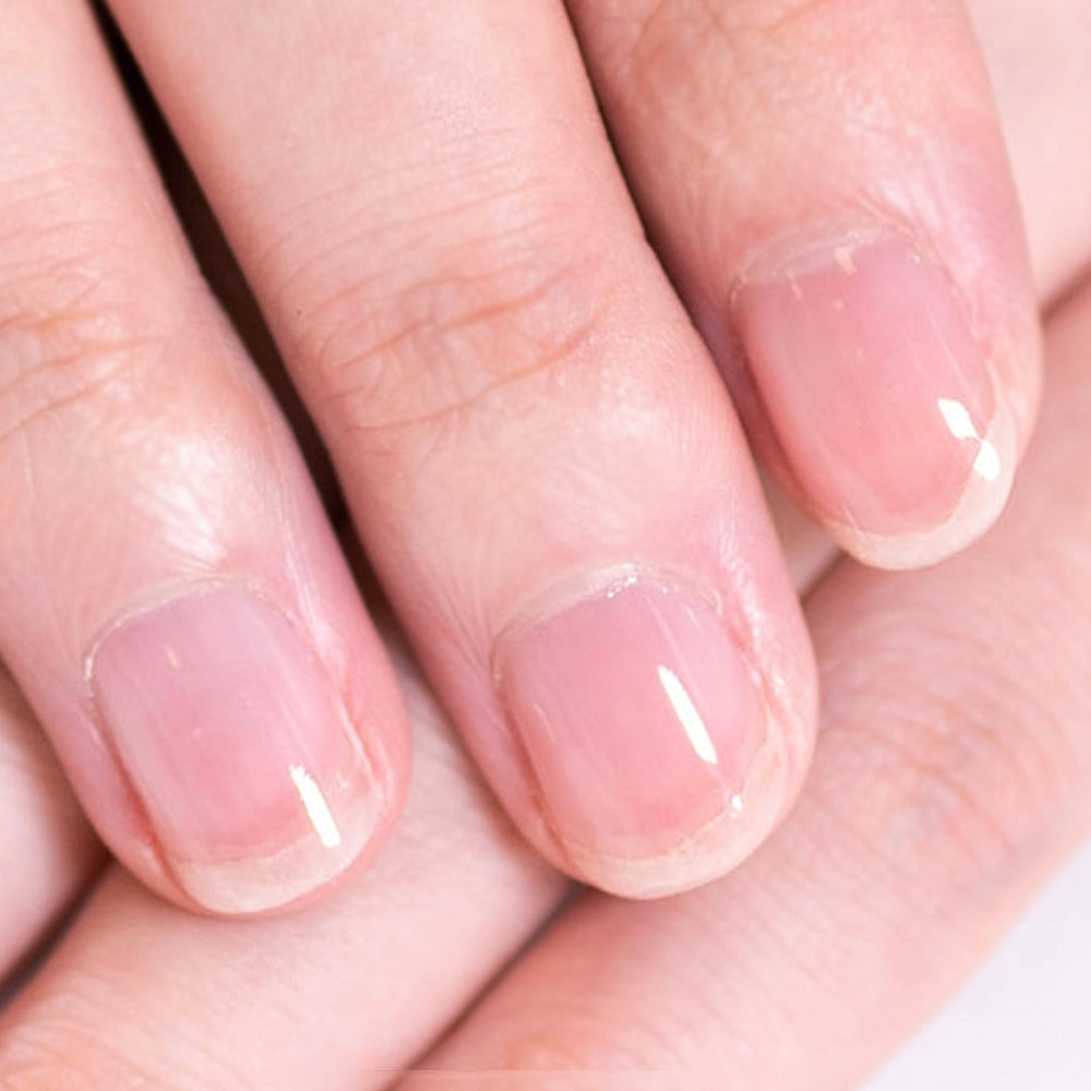 ミージェル ベースジェル100g – meegel公式オンラインショップ